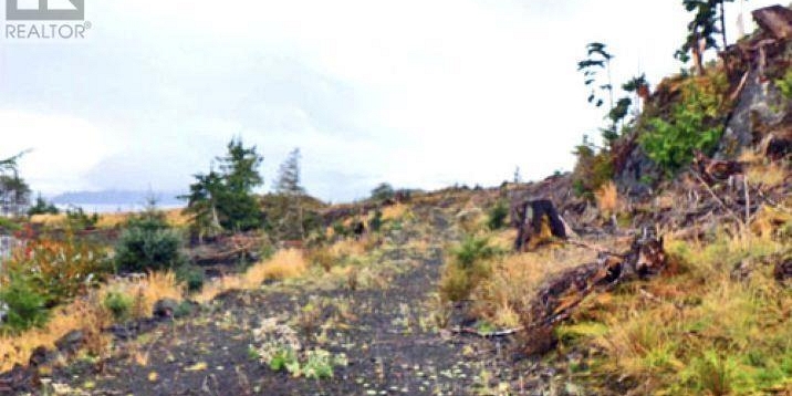 KWAIKANS ISLAND Port Clements Photo 4 KWAIKANS ISLAND Port Clements Photo 4